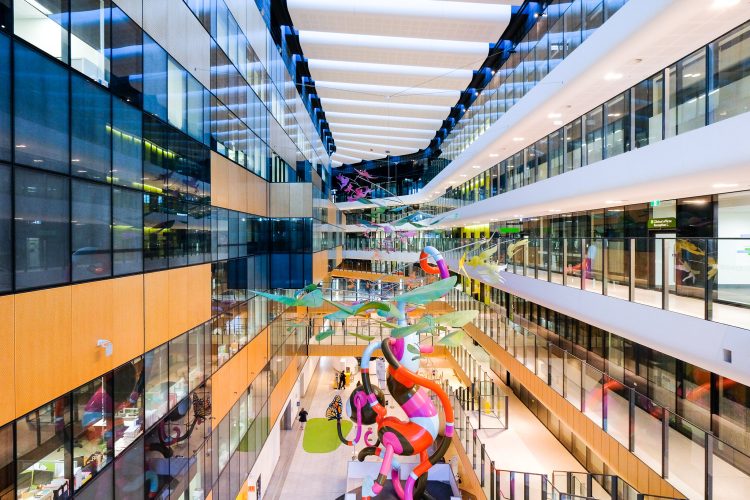 50627823897_b5cb2218cc_k